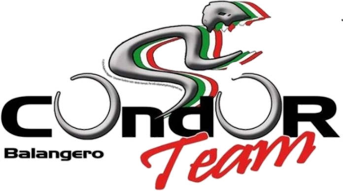 Condorteam bike ebike scuola mtb torino